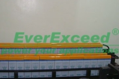 Никель-кадмиевые аккумуляторы EverExceed