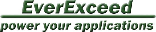 EverExceed – power your applications